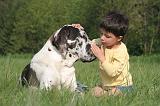 ENFANT ET CHIEN 546